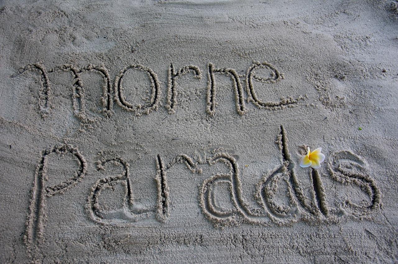 Morne Paradis Apartment Le Gosier (Grande-Terre)